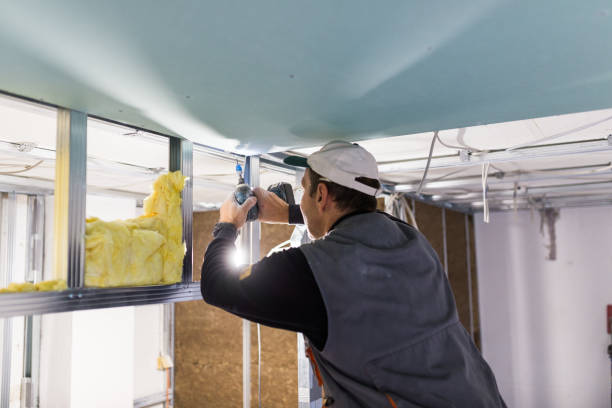 Best Spray Foam Insulation  in Auburn, NE