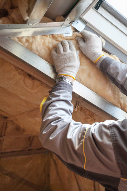 Best Professional Insulation Contractor  in Auburn, NE