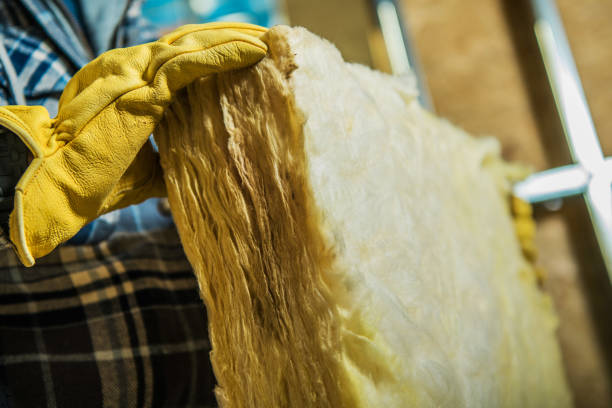 Best Insulation Repair Services  in Auburn, NE