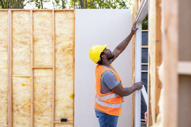 Best Cellulose Insulation  in Auburn, NE